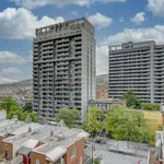 1 bedroom apartment of 365 sq. ft in Montreal