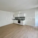 Rent 2 bedroom apartment of 60 m² in Padova