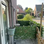 Rent 1 bedroom apartment of 33 m² in arnhem