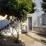 Rent 3 bedroom apartment in porto