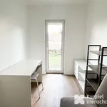 Rent 3 bedroom apartment of 50 m² in Rzeszów