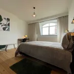 Kamer van 600 m² in brussels