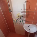 Rent 1 bedroom apartment in Chomutov