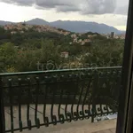 Rent 3 bedroom apartment of 65 m² in Frosinone