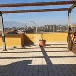 Rent 4 bedroom apartment of 85 m² in Frosinone