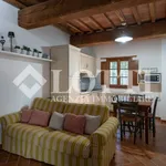 Rent 2 bedroom apartment of 60 m² in Vicopisano