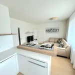 Rent 2 bedroom apartment of 51 m² in Prague