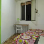 Alquilar 6 dormitorio apartamento en Madrid