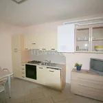 Rent 2 bedroom apartment of 55 m² in Cervia