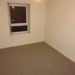 Rent 2 bedroom flat in finlay