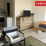 Rent 1 bedroom apartment in Zlín