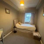 Rent 4 bedroom house in North East England