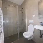 Rent 1 bedroom apartment of 60 m² in Prague