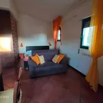 Rent 1 bedroom apartment of 30 m² in Rome