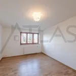 Pronajměte si 4 ložnic/e byt o rozloze 250 m² v Prague