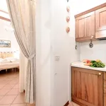 Rent 1 bedroom apartment in Florence