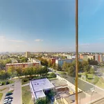 Pronajměte si 1 ložnic/e byt o rozloze 483 m² v Ostrava