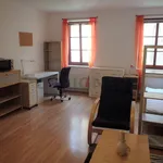 Rent 1 bedroom apartment of 35 m² in Hradec Králové