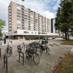 Rent 2 bedroom apartment of 85 m² in Rotterdam