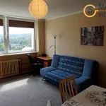 Rent 1 bedroom apartment of 24 m² in Gdańsk