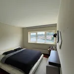 Rent 4 bedroom apartment in Porto