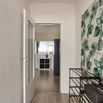 Rent 3 bedroom apartment of 95 m² in Voorburg