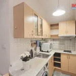 Rent 2 bedroom apartment of 53 m² in Capital City of Prague