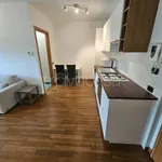 Affitto 1 camera appartamento di 47 m² in Cernusco sul Naviglio