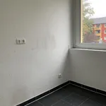 Miete 4 Schlafzimmer wohnung von 66 m² in Moers