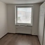 Pronajměte si 4 ložnic/e byt o rozloze 170 m² v Prague