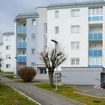 Rent 4 bedroom apartment of 94 m² in Oberpullendorf/Felsőpulya