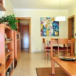 Rent a room of 60 m² in Barcelona