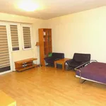 Rent 1 bedroom apartment of 41 m² in Łódź