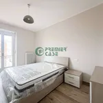 Rent 3 bedroom apartment of 85 m² in Turin