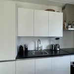 Rent 3 bedroom apartment of 75 m² in 2135ZB Hoofddorp