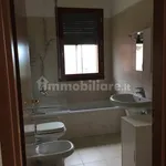 Rent 3 bedroom apartment of 62 m² in Bologna