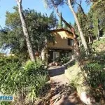 Rent 6 bedroom house of 150 m² in Florence