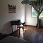 Rent 6 bedroom apartment in Lisbon