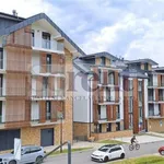 Rent 2 bedroom apartment of 75 m² in Lipno nad Vltavou