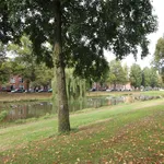 Rent 4 bedroom apartment of 79 m² in Groningen