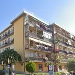 Rent 2 bedroom apartment of 45 m² in Campi Bisenzio