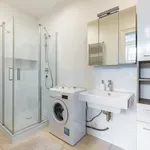 Pronajměte si 1 ložnic/e byt o rozloze 55 m² v Prague