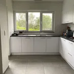 Huur 2 slaapkamer huis van 918 m² in Nijlen