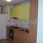 Rent 3 bedroom apartment of 75 m² in San Teodoro