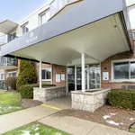 Rent 1 bedroom apartment in Sarnia