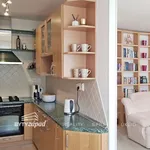 Pronajměte si 4 ložnic/e byt o rozloze 91 m² v Prague