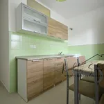 Rent 1 bedroom apartment in Přerov