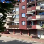 Rent 1 bedroom apartment of 30 m² in Szczecin