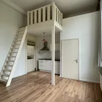 Rent 1 bedroom apartment of 23 m² in Boulevardwijk