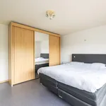 Maison de 1036 m² avec 4 chambre(s) en location à Hoogstraten